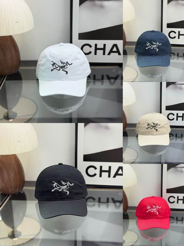 Arcteryx cap dx21